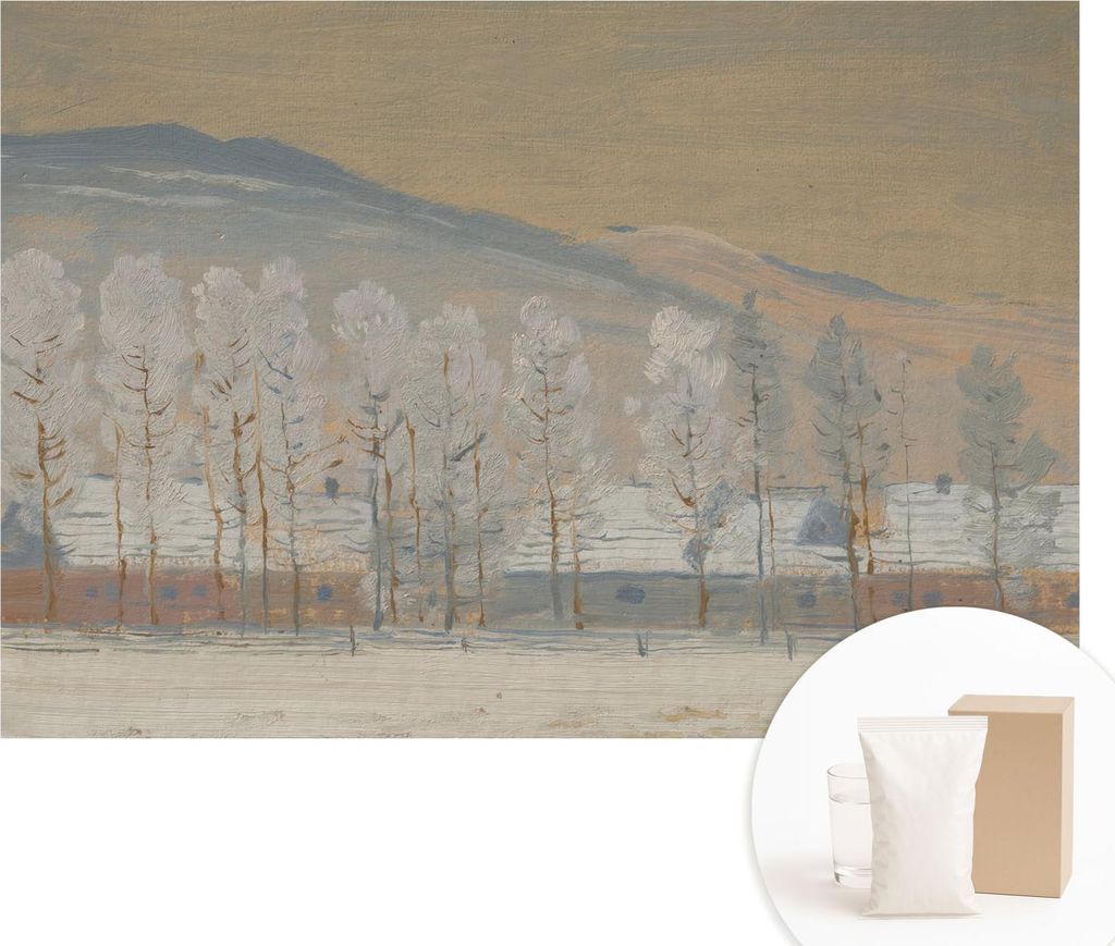 Fototapete - Wandbilder für Wohnzimmer - 152x104 cm - Dekorative Wandfolie - Modernes Design für Wanddekoration - Tapeten für Innenräume - Wint...