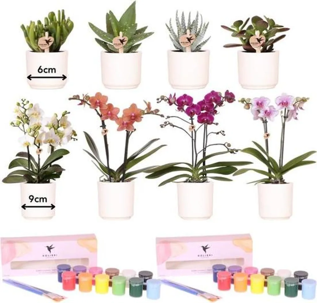 Atelier Créatif Jardinage et Peinture DIY pour Enfants et Adultes - Kit