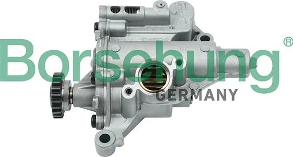 Pompe à huile Borsehung B18758 OE 06H115105BK pour Audi A3 A4 et VW Golf