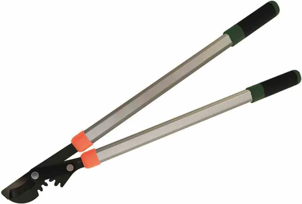 Il Troncarami Siena Garden H22900: Tradizione e Innovazione Bypass