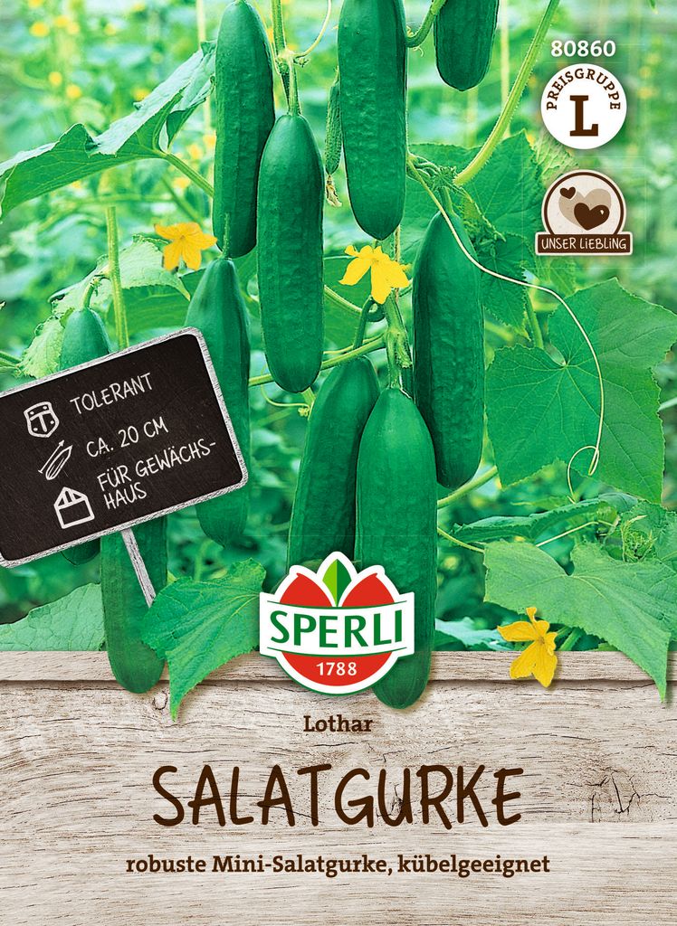 SPERLI Salatgurkensamen Lothar F1 Cucumis sativus 7 Produktbild 