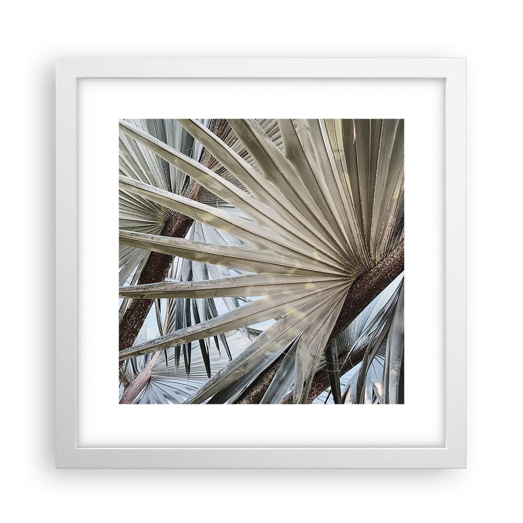 Gerahmtes Poster - Weißer Rahmen - Blatt Palme Natur - 30x30 cm - Wand Bild - Wanddeko - Wandbilder - Kunstposter - Wandposter - Bilderrahmen - Bi...