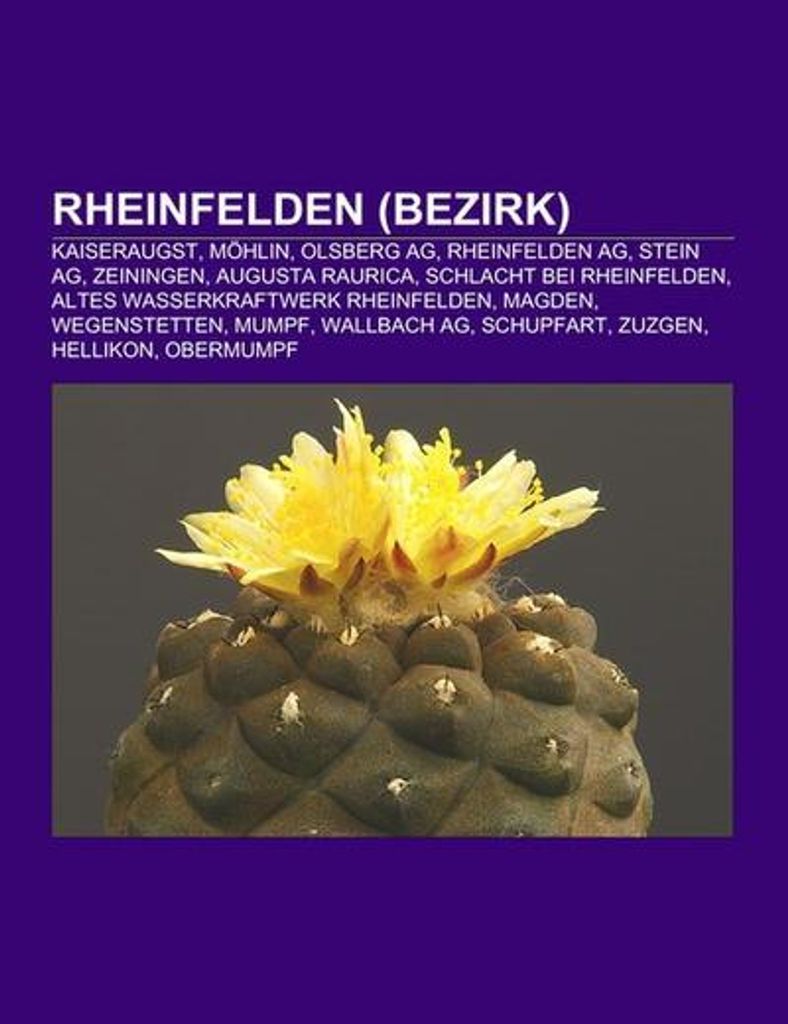 Rheinfelden (Bezirk)