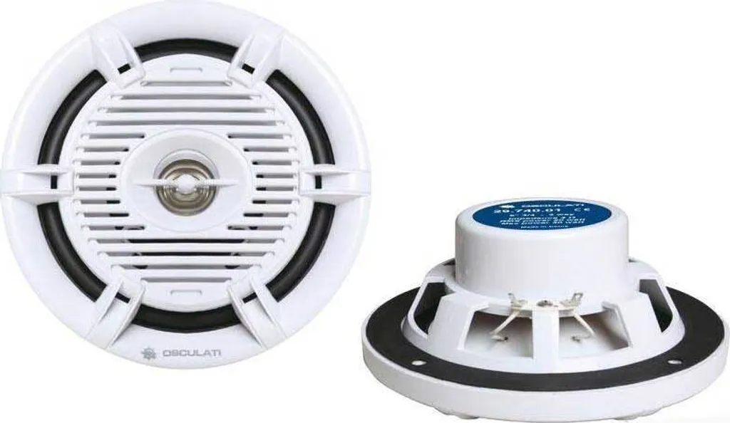 Fini le son médiocre : Haut-parleur stéréo 2 voies 60W pour un son pur