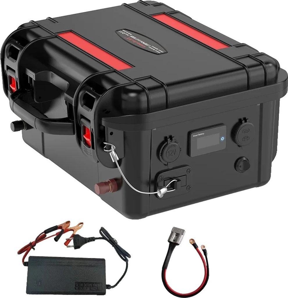 Batterie LiFePO4 rechargeable, capacité de 100 Ah/120 Image du produit 
