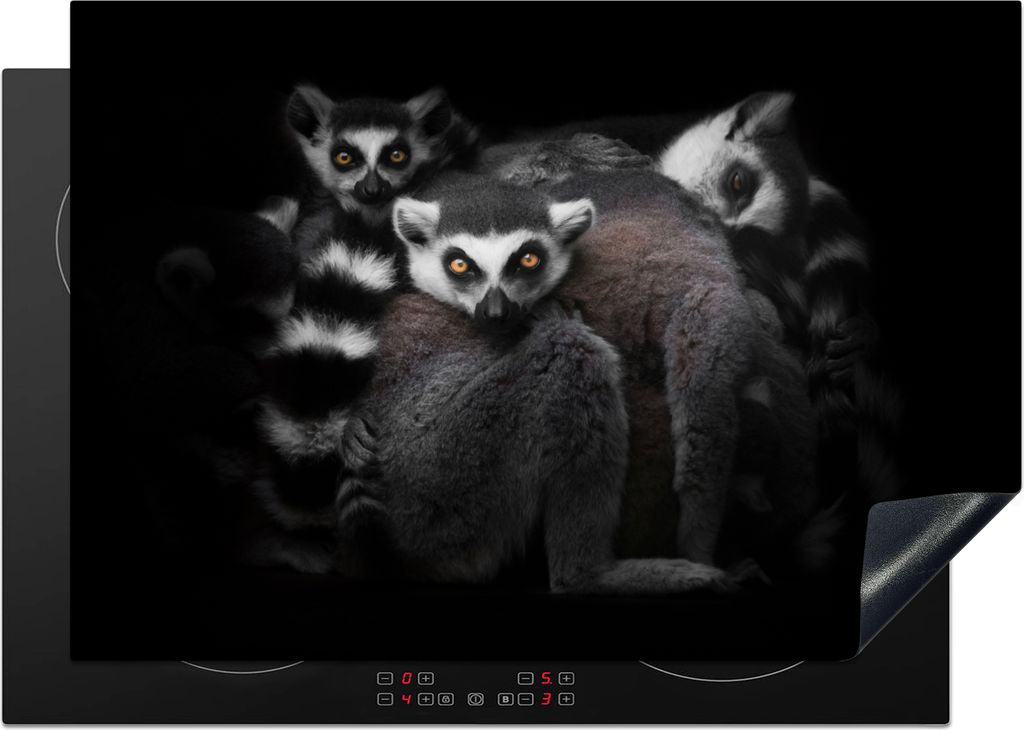 KitchenYeah Herdabdeckplatte Tiere - Lemur - Schwarz - Weiß - Porträt , 75x52cm, Küche Deko, Glaskeramikkochfeld Herdabdeckung, Abdeckplatte f...