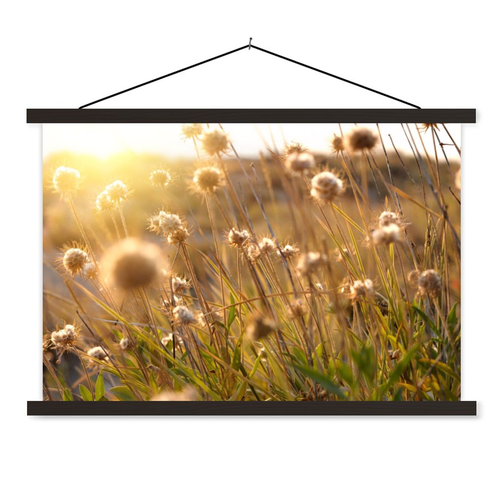 MuchoWow Textilposter Pflanzen - Natur - Blumen - Sonne - Horizont 60x40 cm mit schwarzem Rahmen - Hölzernes