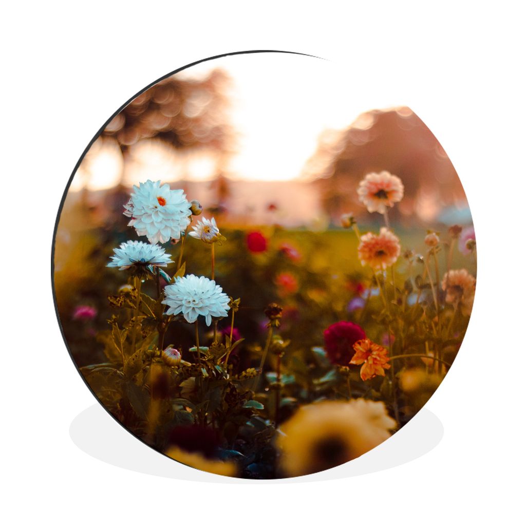 MuchoWow Aluminium Wandkreis Blumen - Frühling - Sonne - Jahreszeiten Ø 90 cm Wanddeko Modern Wohnzimmer - Mauerkreis - Wandbilder - Runde Bild...