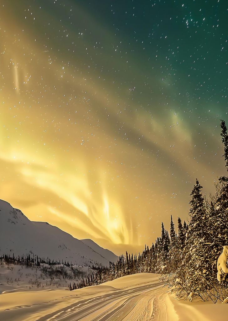 Plakat 64x90cm Polarlicht im Winter