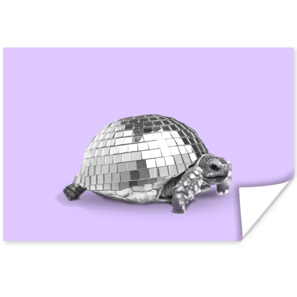 MuchoWow Poster Schildkröte - Discokugel - Disco - Tier - Lila 120x80 cm - Bilder