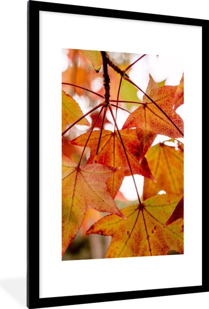 MuchoWow Gerahmtes Poster Herbstzweige - Blätter - Jahreszeiten - Landleben 60x90 cm - Poster mit Schwarzem Bilderrahmen Wandposter Rahmen Foto ...