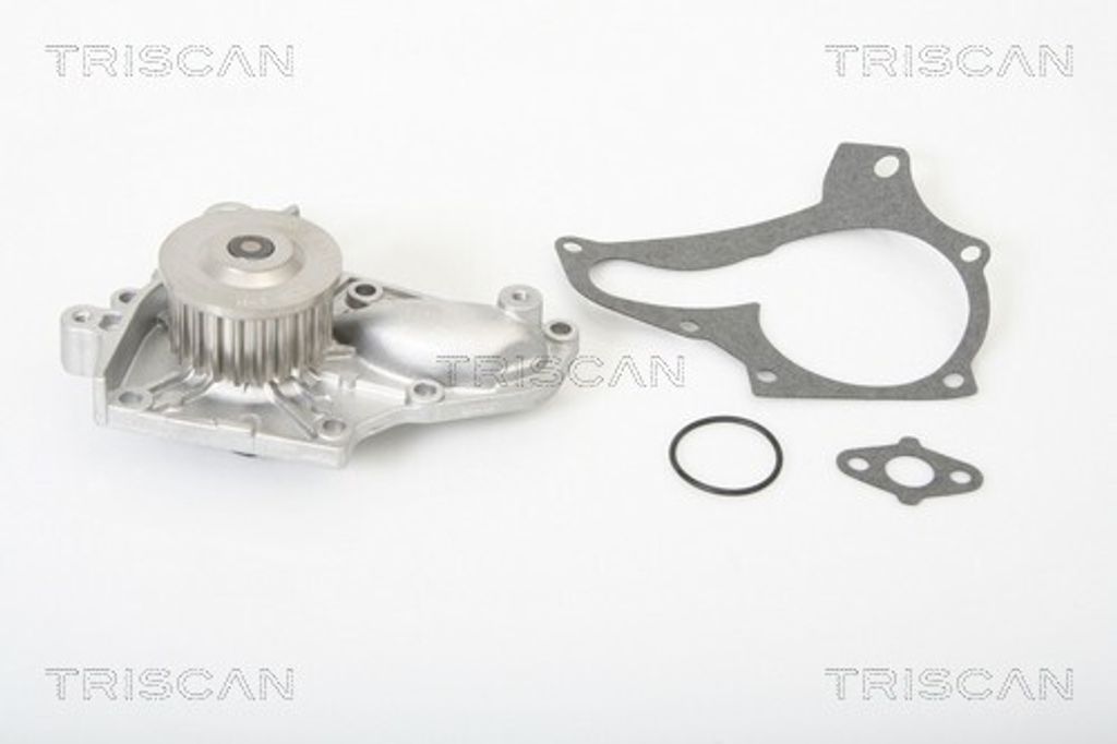 TRISCAN Wasserpumpe 8600 13990
