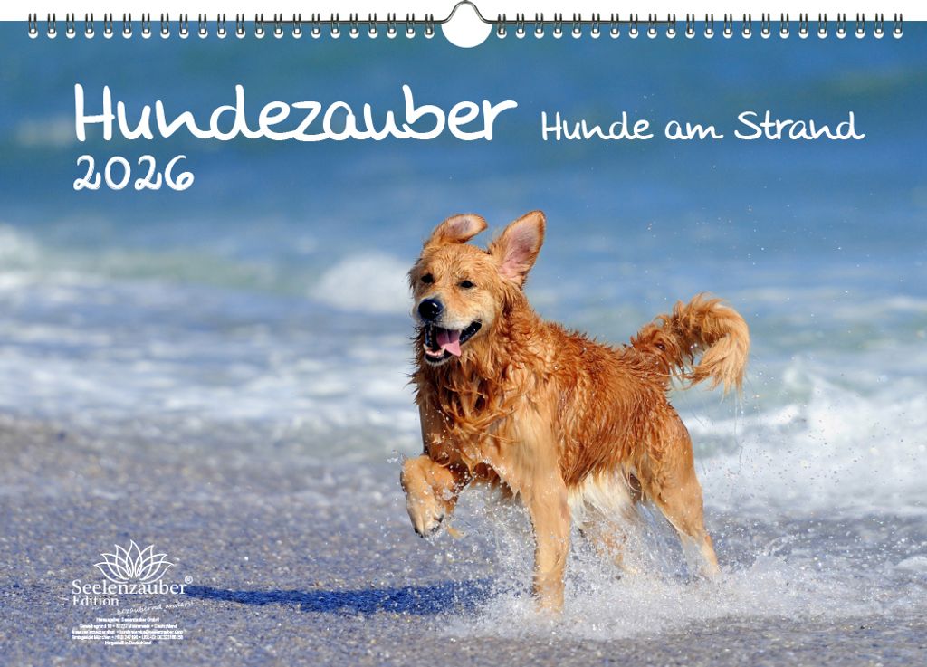 Hundezauber Hunde am Strand DIN A3 Kalender für 2026 Welpen und Hunde - Seelenzauber