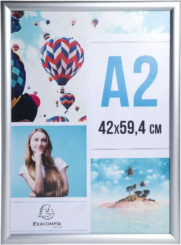 Exacompta 8294358D Cornice per poster da parete in alluminio A2 Exacryl argento