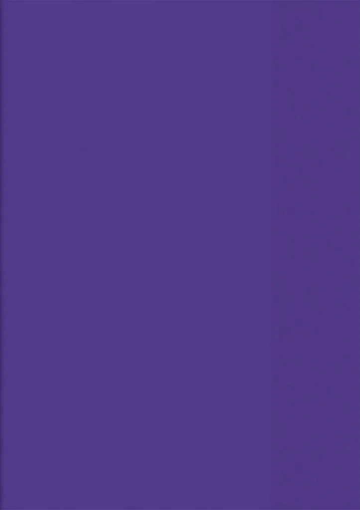 Pochette de classement A4 violette résistante et porte-document utile