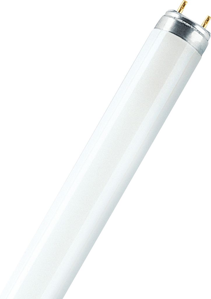 A fluorescent light bulb against a white background.