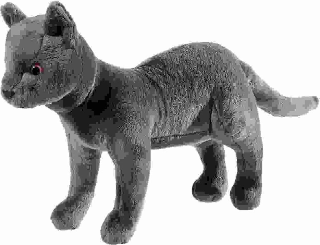 HEUNEC Schule d.mag.Tiere Kater Karajan gross Produktbild 