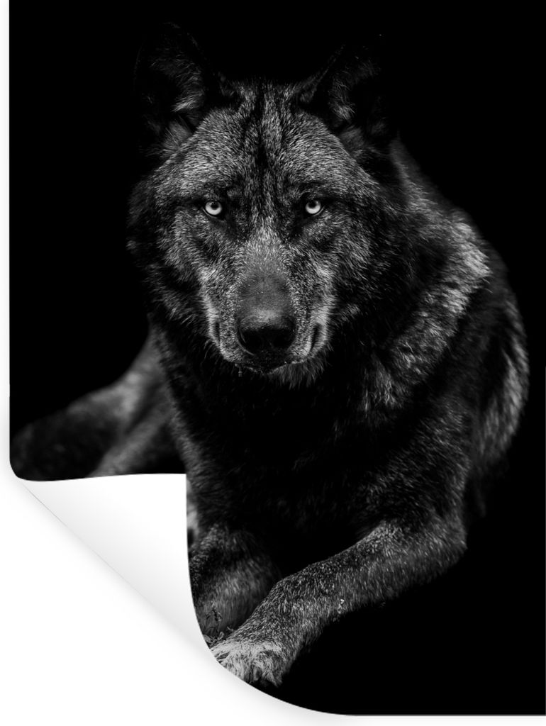 MuchoWow Wandtattoo Wandsticker Wandaufkleber Tiere - Wolf - Schwarz - Weiß - Porträt 120x160 cm Selbstklebend und Repositionierbar - Wierderve...