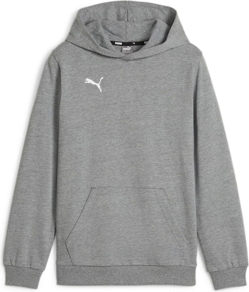 Puma Teamgoal Kapuzenpullover Herren - Hellgrau Meliert Produktbild 