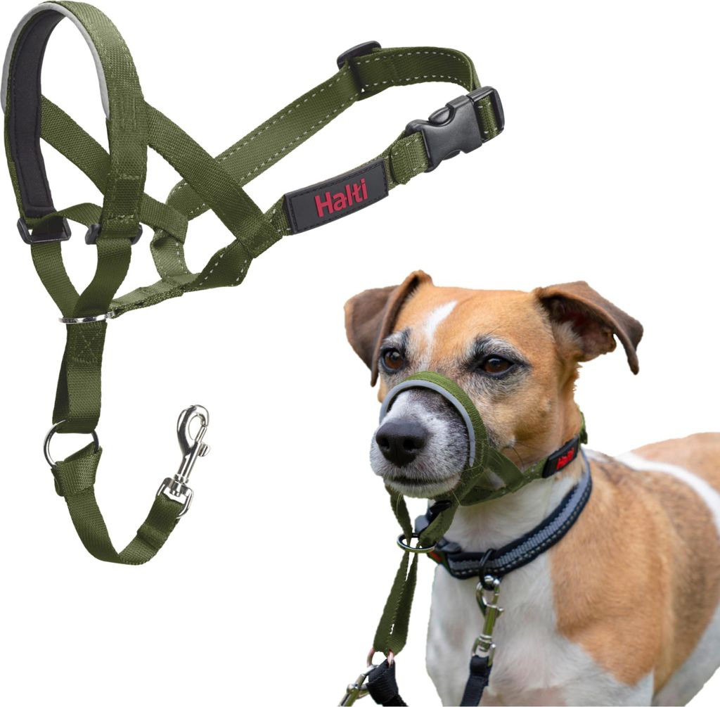 HALTI Kopfgeschirr – Anti-Zug-Halsband für kleine Hunde, Produktbild 