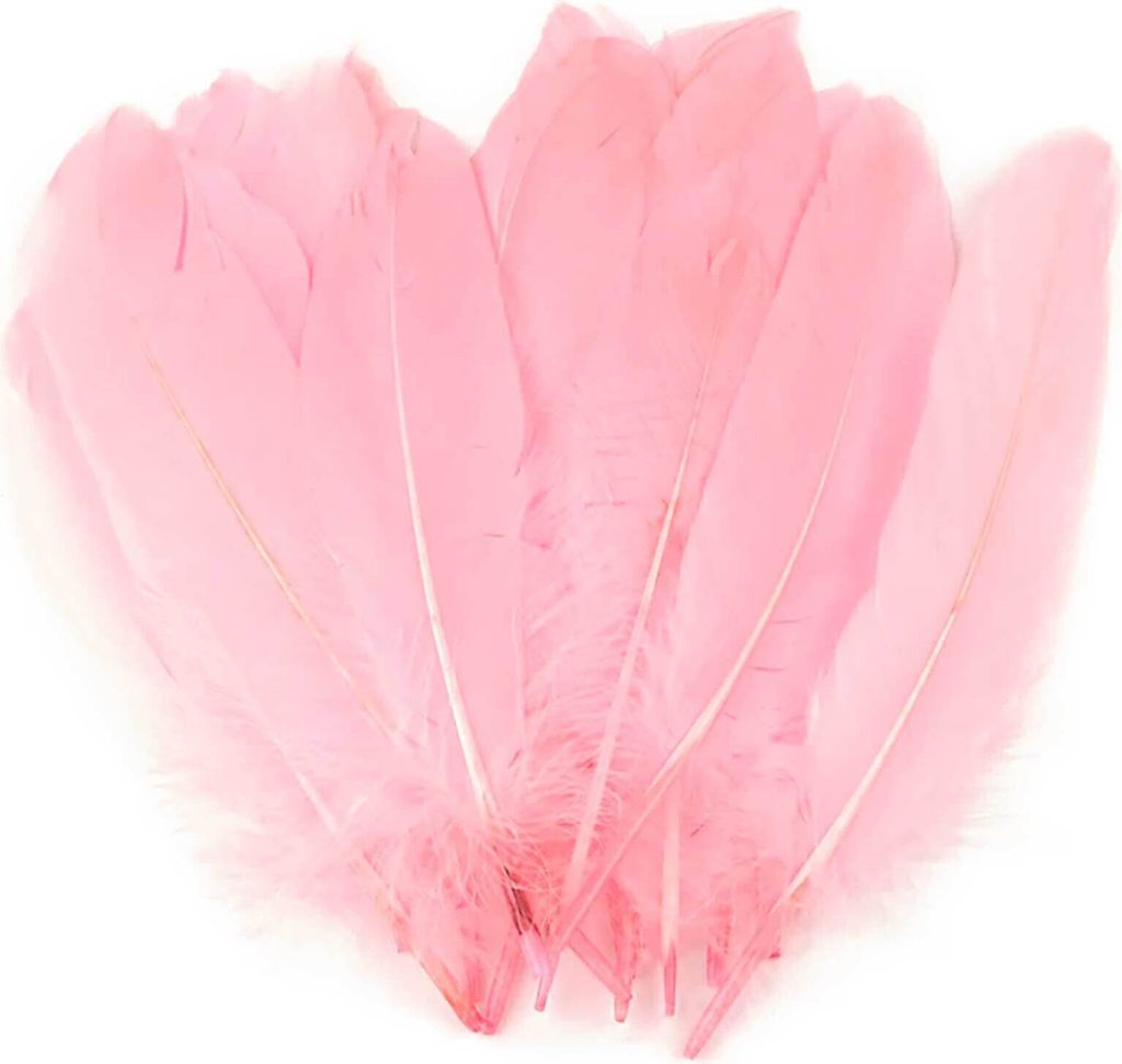 20 Entenfedern 15-21cm Bastelfedern Federn Dekofedern f. Hüte Kostüme Basteln
