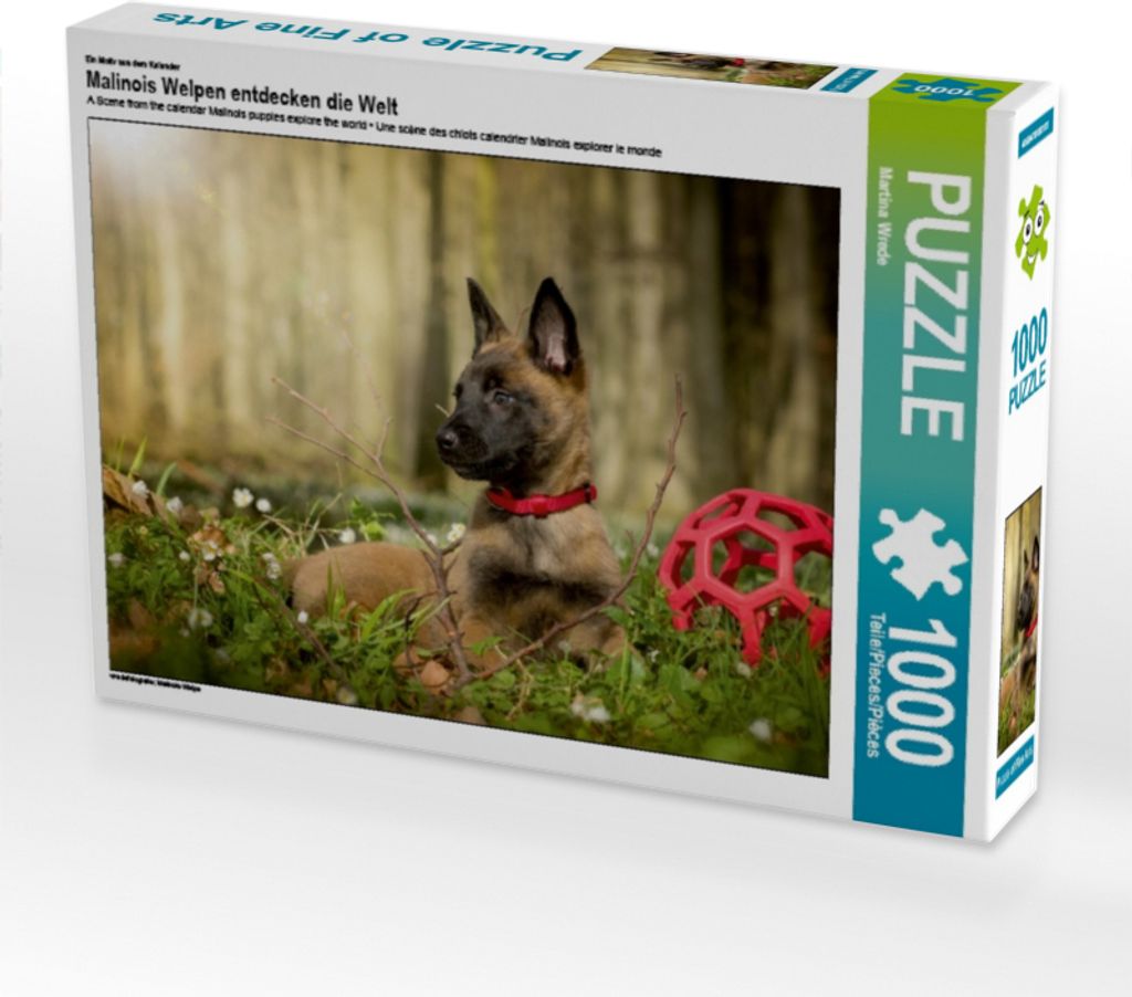 Calvendo Ein Motiv aus dem Kalender Malinois Welpen entdecken die Welt 1000 Teile Puzzle quer 640x480mm, Wrede Martina; 7397879