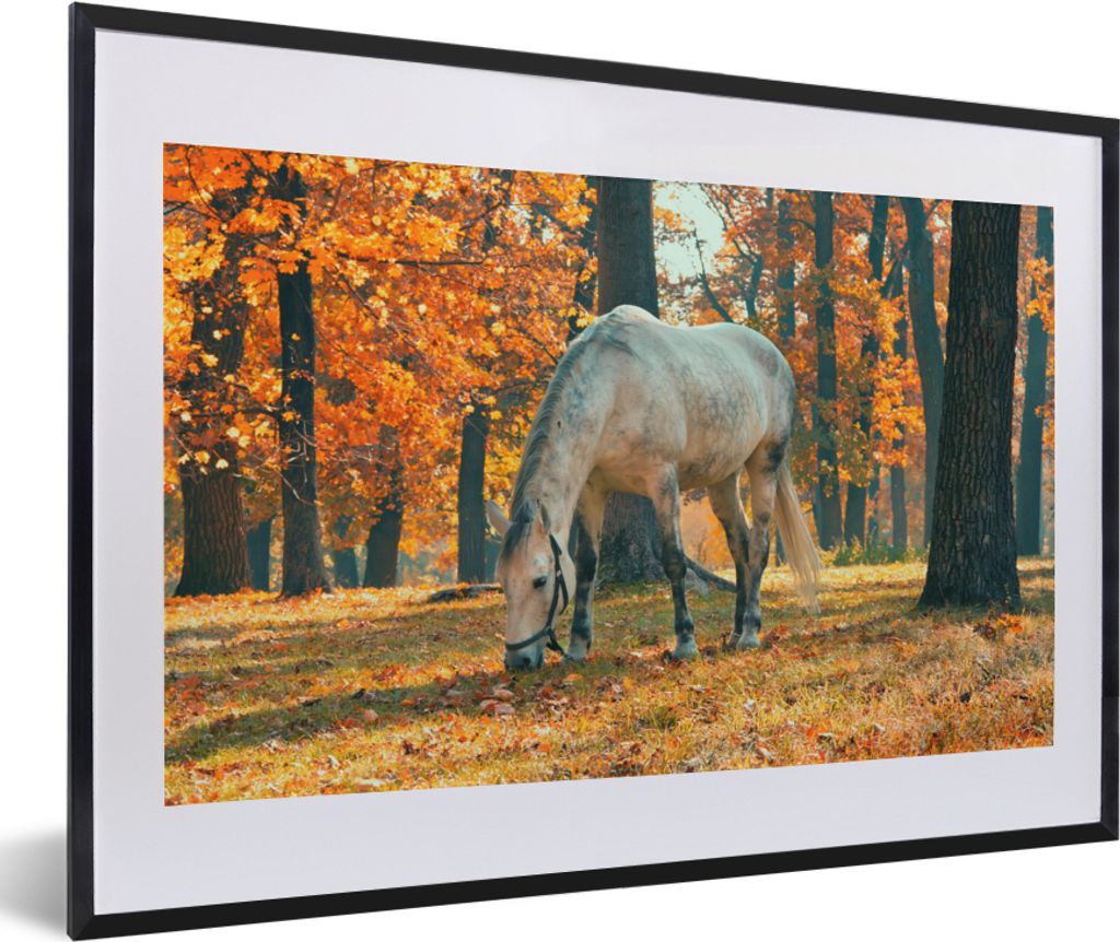 MuchoWow MuchoWow Gerahmtes Poster Pferd - Herbst - Wald 60x40 cm - Poster mit zchwarzem Bilderrahmen - Schlafzimmer - Plakat in Rahmen - Drucken