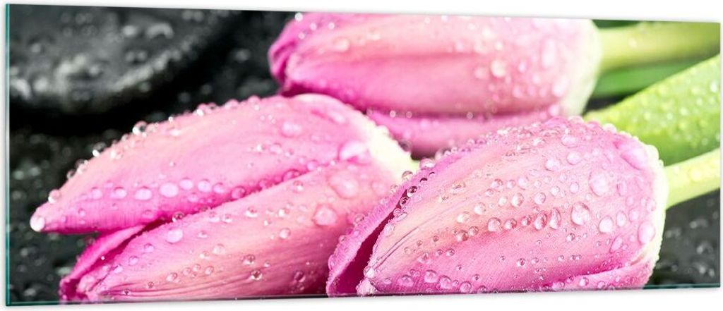 Bilder auf glas - Tulpen Tau Steine Pflanze - 140x50cm - Glasbilder - Wandbilder - Kunstdruck - zum Aufhängen bereit - Wanddekoration aus Glas - G...