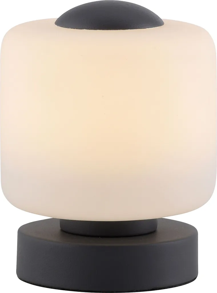 Éclairage LED basse consommation 5W Paul Neuhaus 4037-13 pour bureau