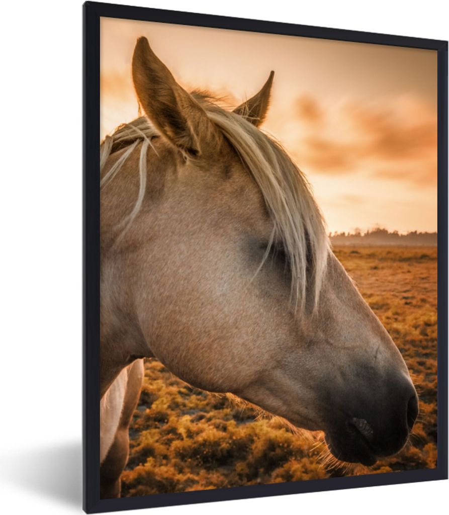 MuchoWow Gerahmtes Poster Pferd - Tiere - Porträt 30x40 cm - Poster mit Schwarzem Bilderrahmen Wandposter Rahmen Foto Bilder - Wanddeko - Kunstd...