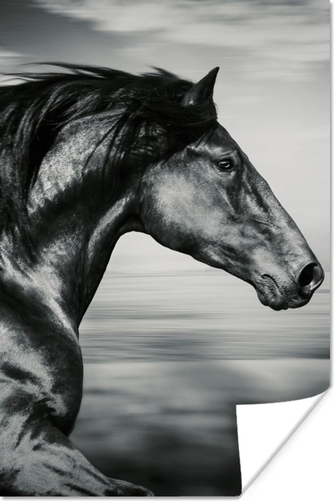 MuchoWow Poster Pferd - Tiere - Schwarz - Weiß 120x180 cm - Kunstposter