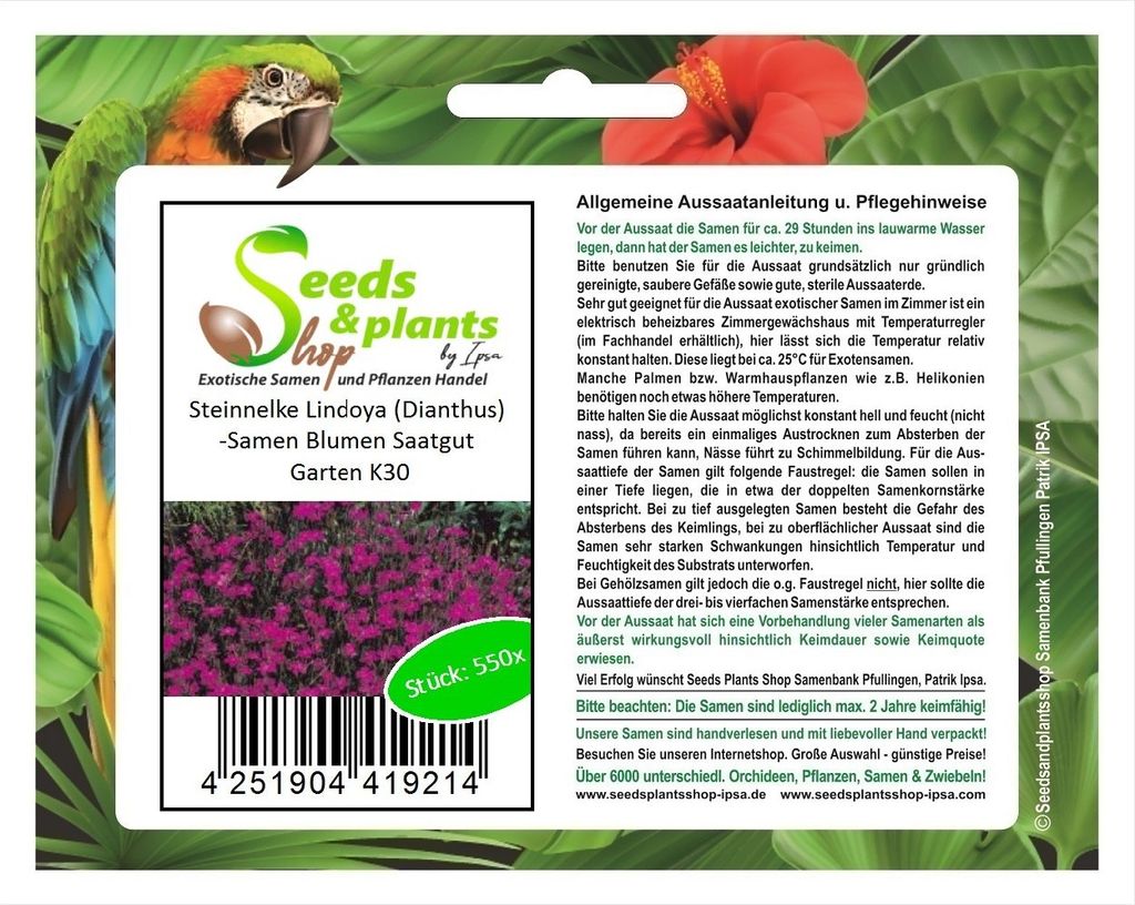 550x Steinnelke Lindoya Dianthus deltoides erectus Saatgut Pflanzen - Samen K30