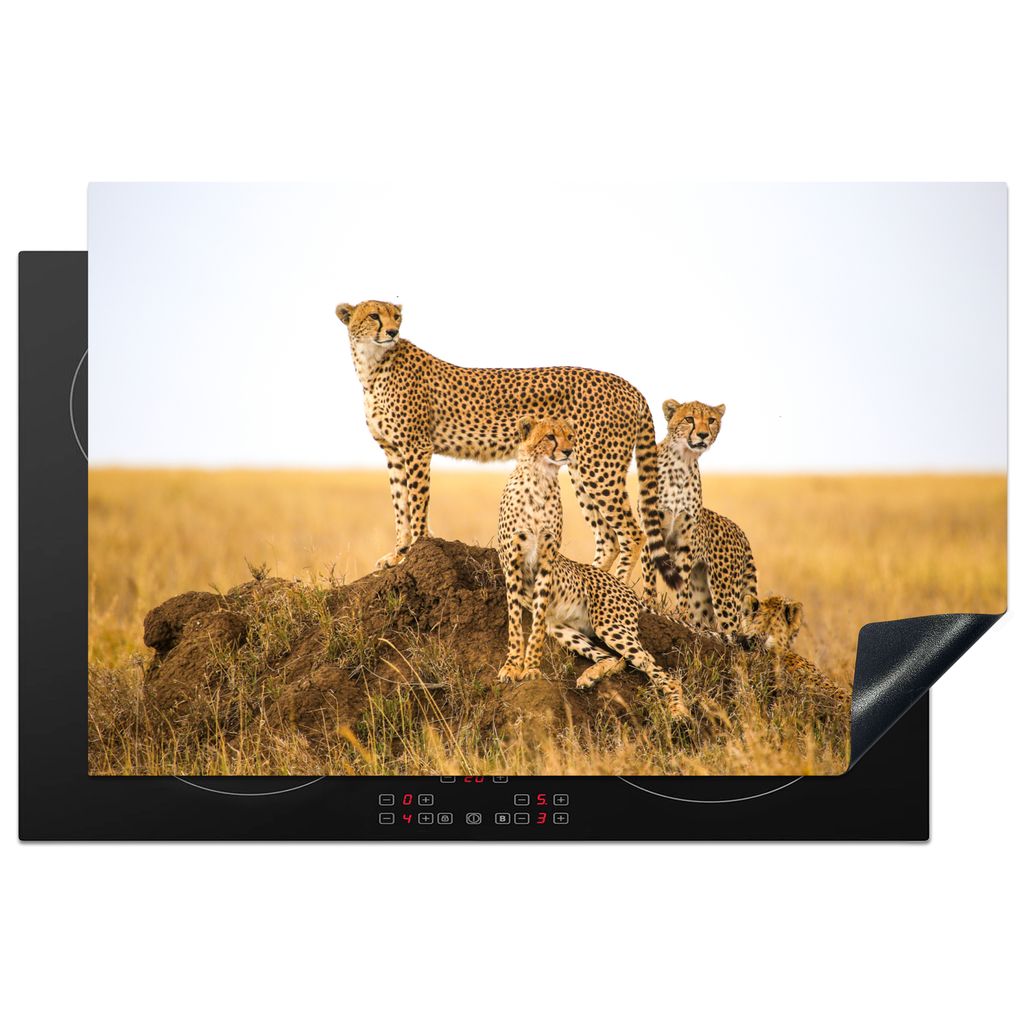 KitchenYeah Herdabdeckplatte Gepard - Gras - Natur - Savanne , 81x52cm, Küche Deko, Glaskeramikkochfeld Herdabdeckung, Abdeckplatte fùr Kochfeld