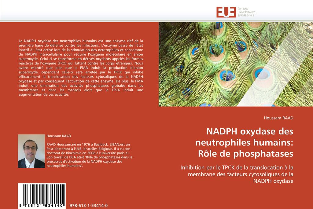 NADPH oxydase des neutrophiles humains: Rôle de phosphatases