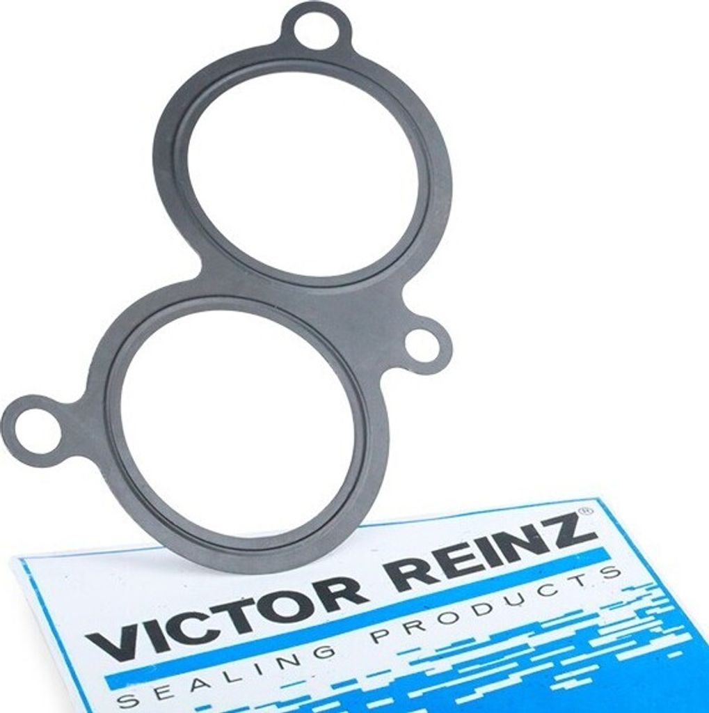 REINZ 71-31254-00 Dichtung Ansaugbrücke für BMW 3 Limousine (E36) 3 Coupe (E36) 3 Compact (E36) 3 Cabrio (E36) Z3 Roadster (E36) 3 Touring (E36)