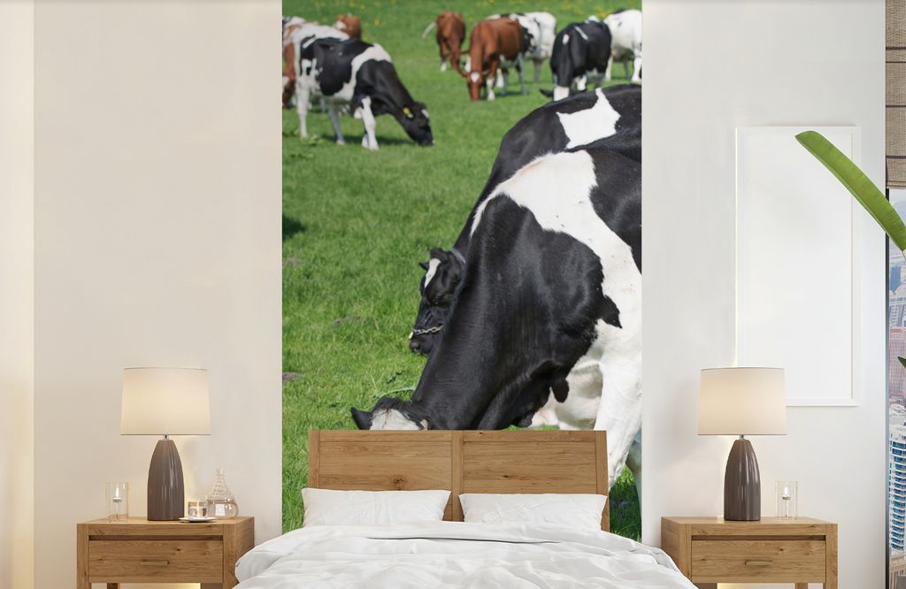 MuchoWow Fototapete für Wohnzimmer oder Schlafzimmer Wandtapete Vinyl Motivtapete Kuh - Tiere - Gras - Sonne - 120x240 cm - Hintergrundbild