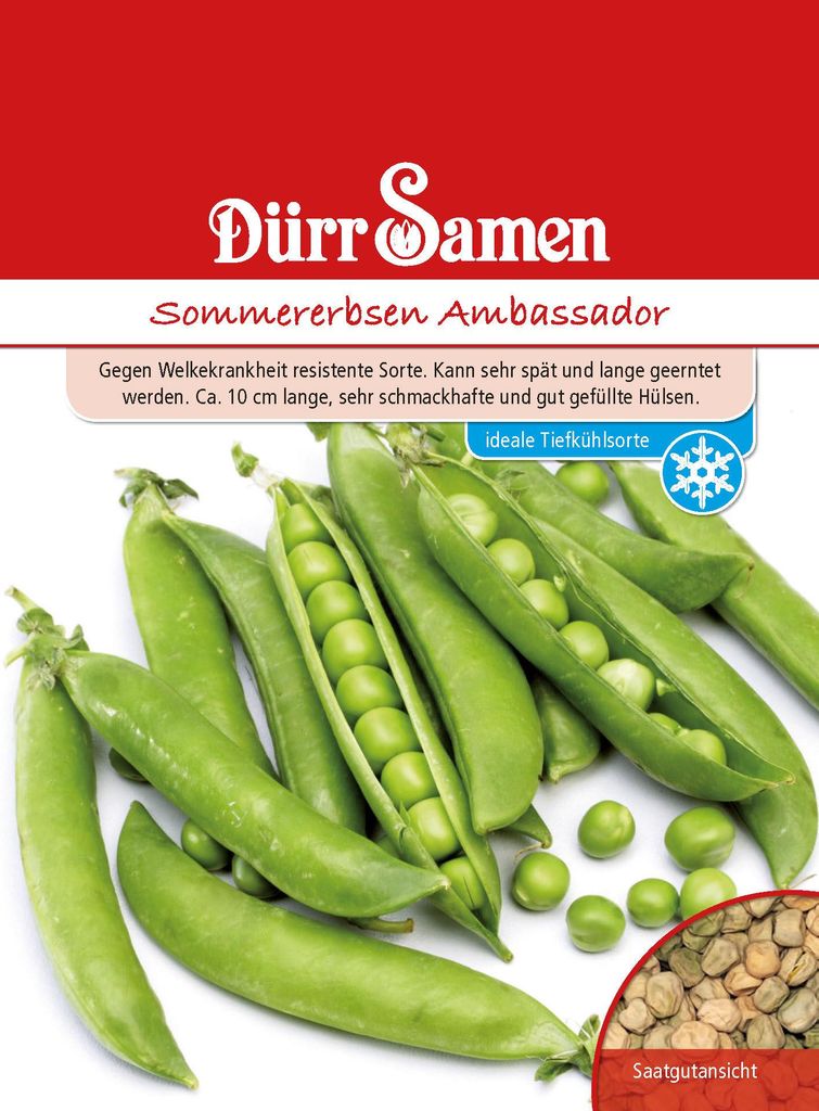 Sommererbse Ambassador | Sommererbsensamen von Dürr Samen Produktbild 