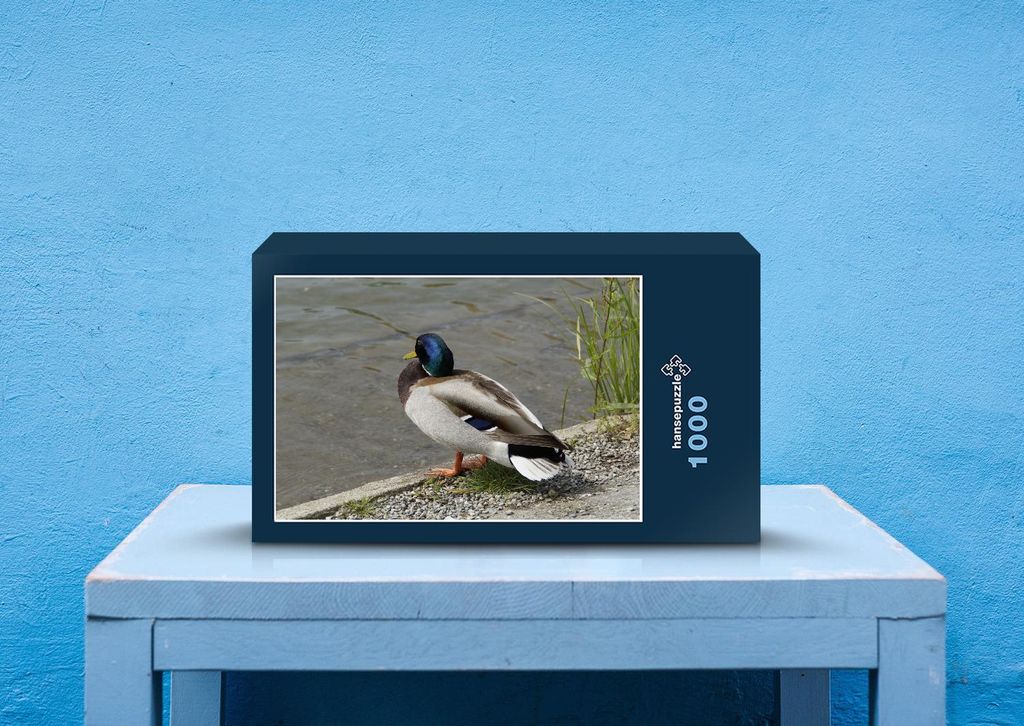 hansepuzzle 36506 - Ente Puzzle, 1000 Teile, Tierwelt, 60,0 x 46,0cm mit hochwertiger Aufbewahrung, Kartonbox und wiederverschließbarem Beutel