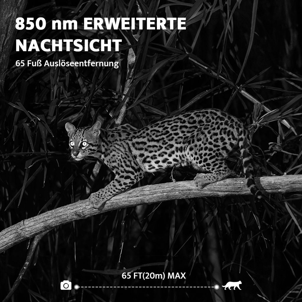Solární kamera pro divokou zvěř 4K 30fps, 48MP lovecká Obrázek produktu 5