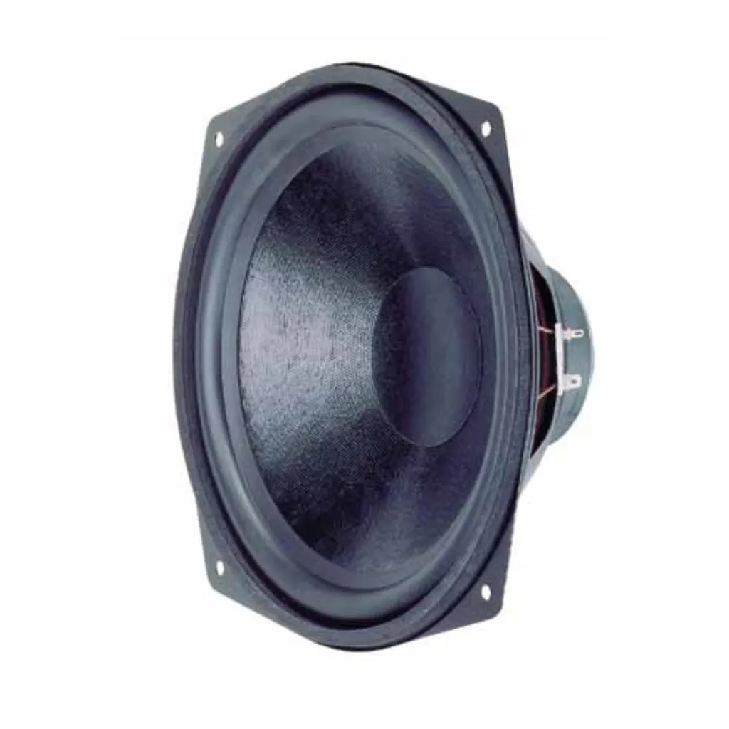 Haut-parleur Visaton 10 pouces 110W - Puissance et Clarté Acoustique