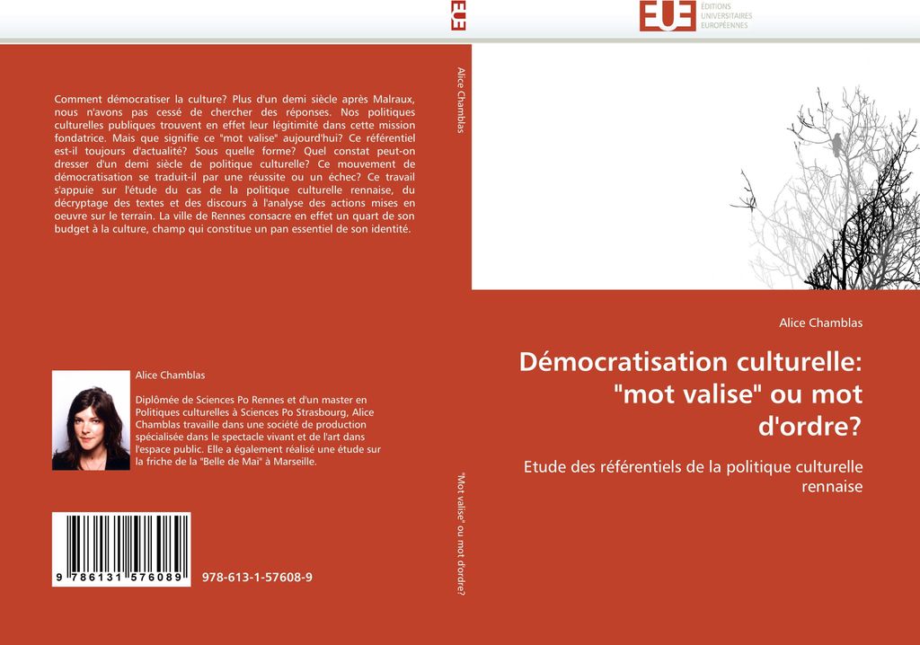 Démocratisation culturelle: "mot valise" ou mot d''ordre?