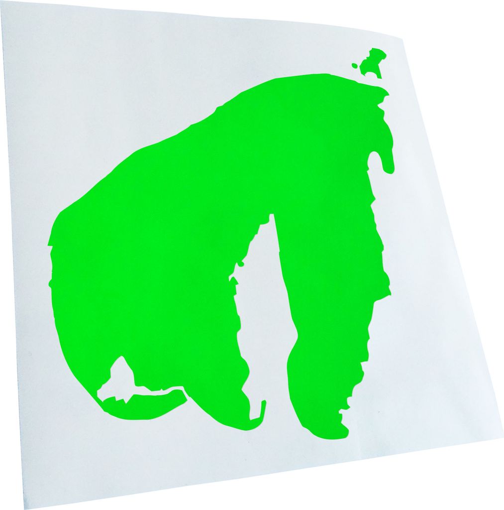 hauptsachebeklebt Kiwistar - Autoaufkleber - Poel - Deutschland - Insel Heckscheibe - Aufkleber für Auto Kfz Fahrrad, LKW, Truck Mofa