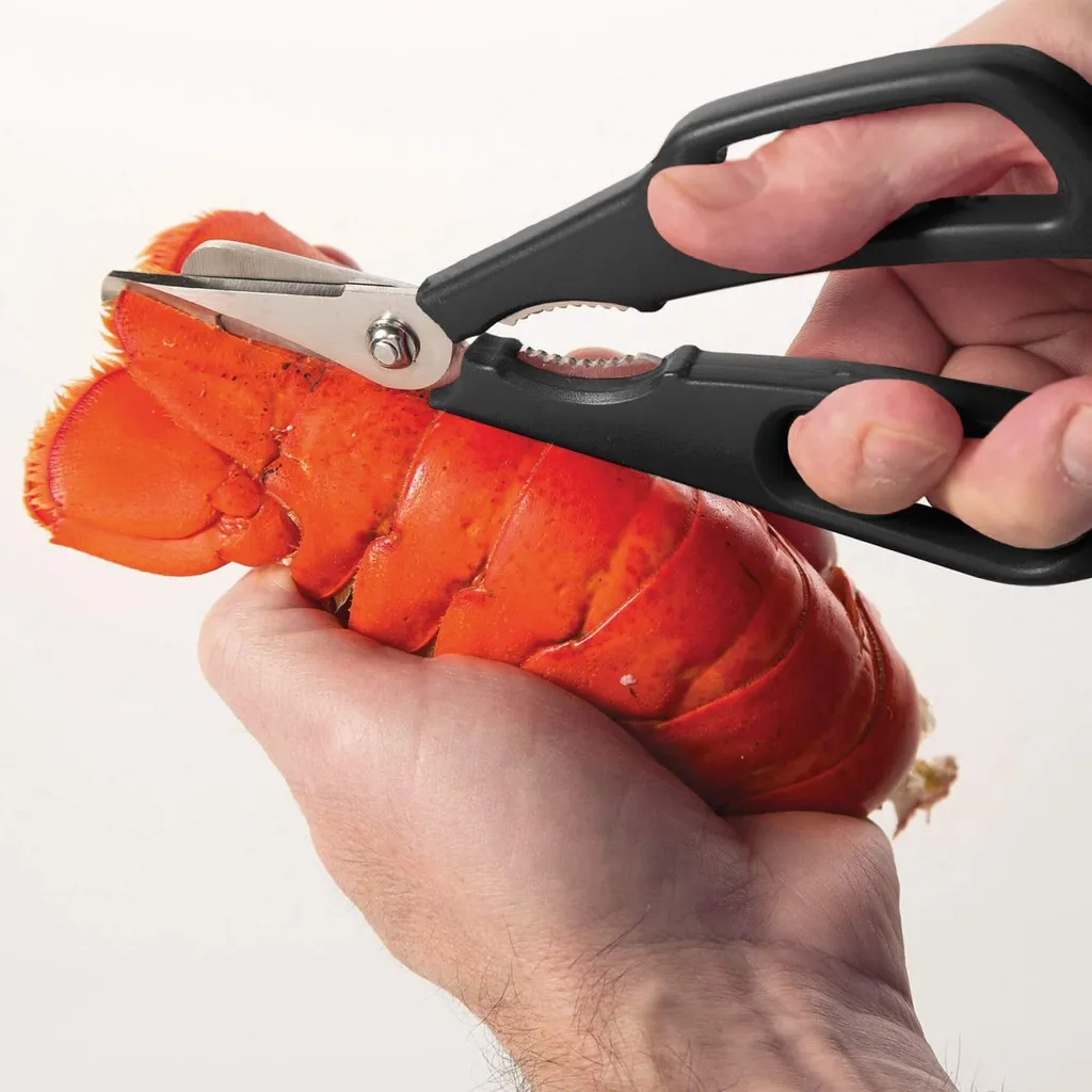 Ciseaux de cuisine haute qualité pour mollusques à coupe inversée 18cm - 8