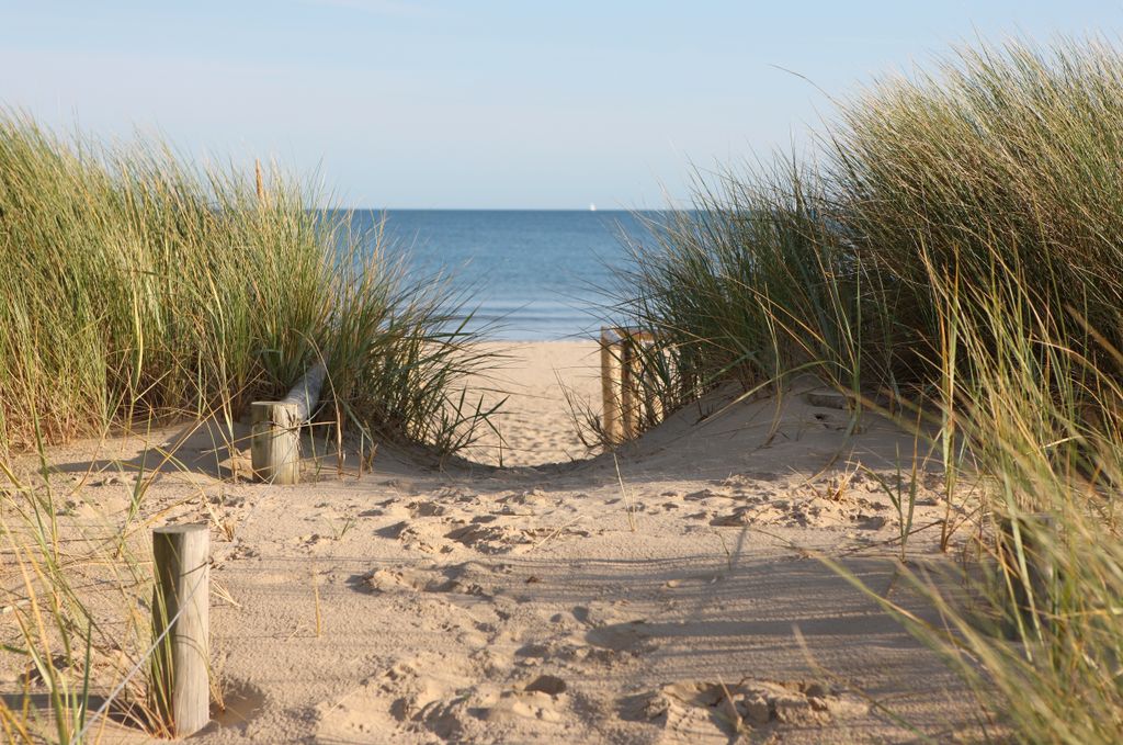 Papermoon VLIES Fototapete, Digitaldruck, Dünen in Dorset (460)