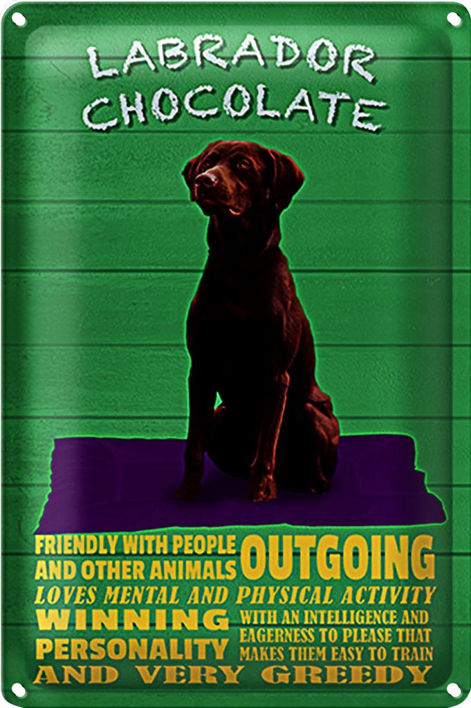 Blechschild Spruch 18x12cm Labrador Chocolate Hund