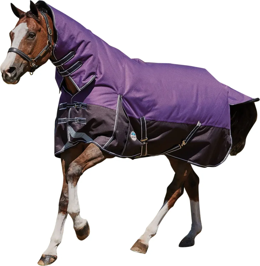 Weatherbeeta Comfitec Plus Lite Dynamic Combo WB600 Viola Nero 75cm