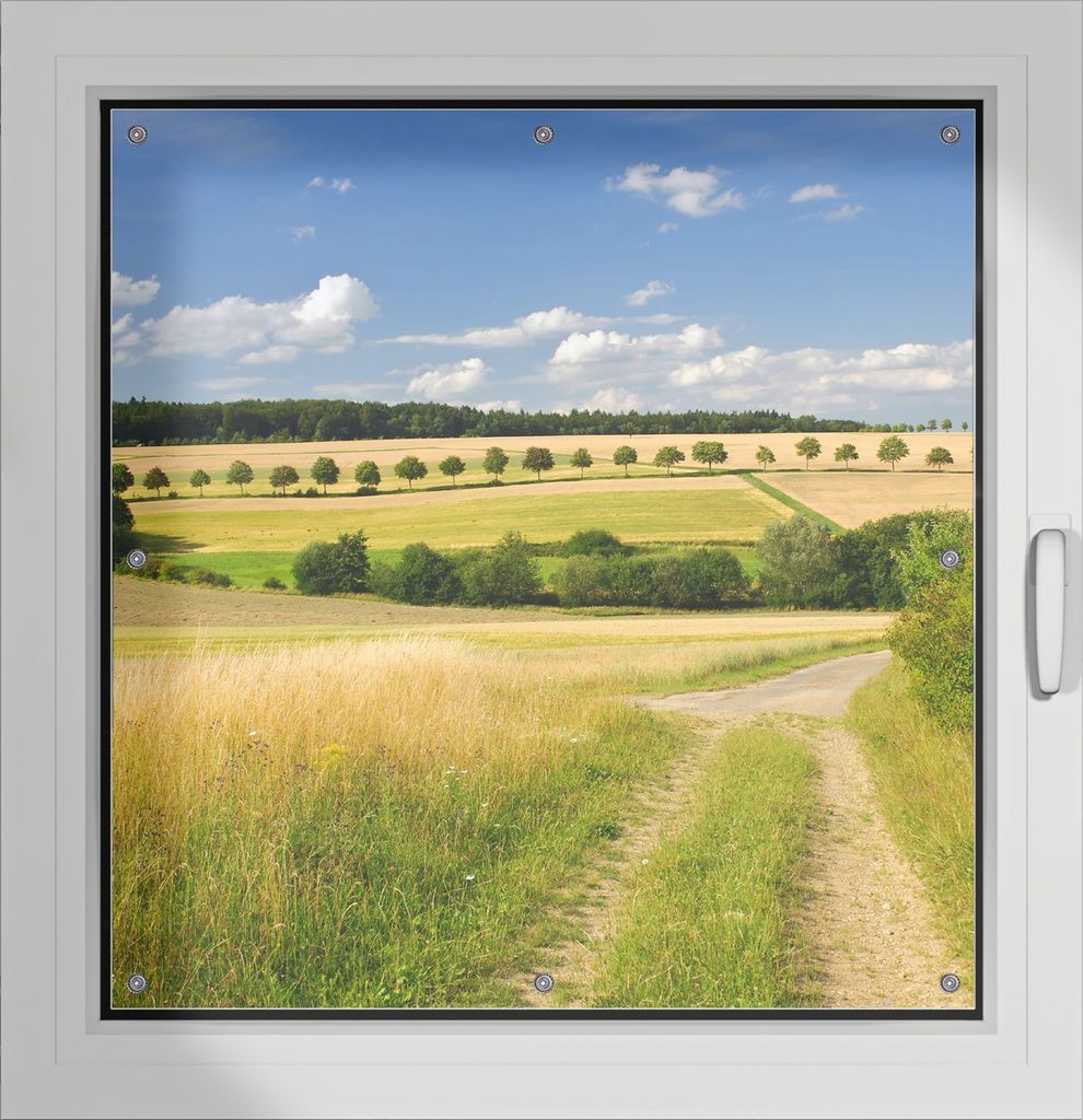 Wallario Lichtschutzbild, Dekorativer Sichtschutz Sonnenschutz 96 x 100 cm mit Motiv: Feldlandschaft unter blauem Himmel - Verdunklung ohne Bohren