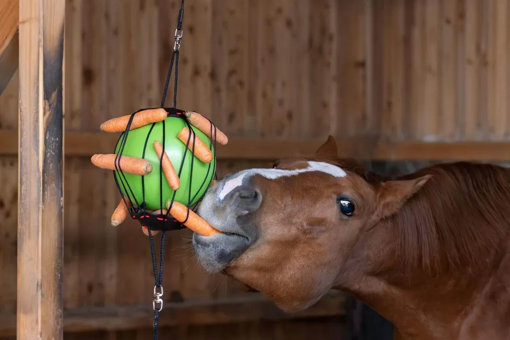 Balle Thérapeutique Kerbl Verte en Caoutchouc Résistant pour Chevaux - 6
