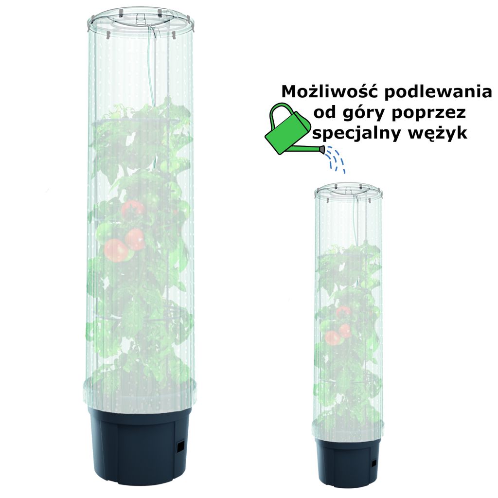 Prosperplast Prosperplast-Tomatenschutz-Set Produktbild 17