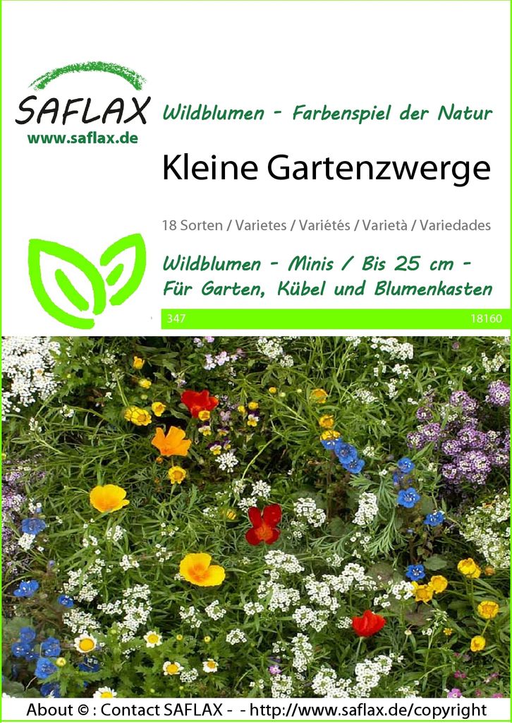 SAFLAX  - Petits nains de jardin - 1000 graines - Mix Image du produit 